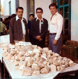 Burmese Jadeite Mineral Specimen with Certificate