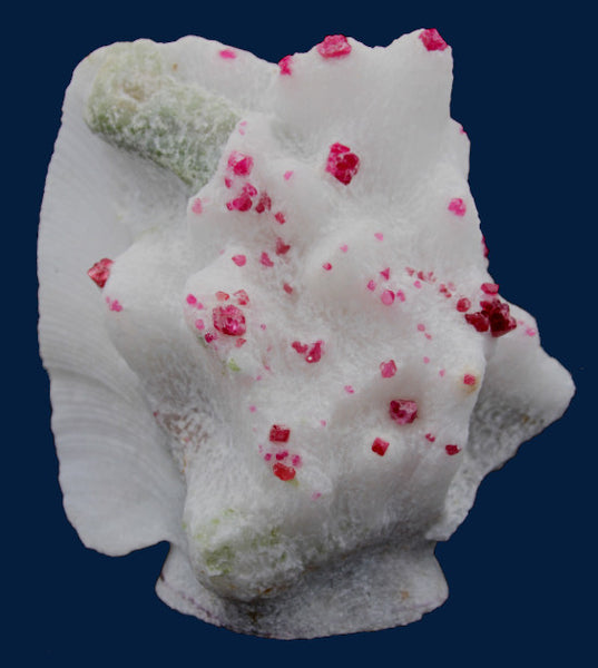 Spinel &  Pargasite Mineral Specimen